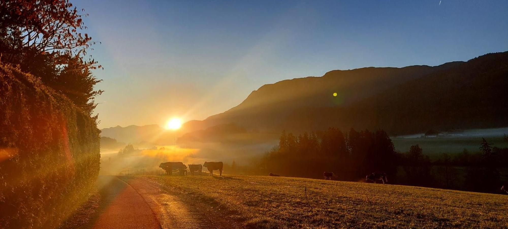Вілла Weinbachbauer - Urlaub Am Bauernhof Sankt Wolfgang im Salzkammergut Екстер'єр фото