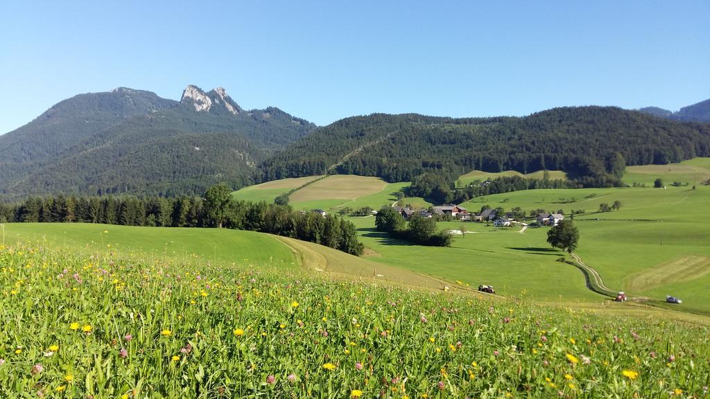 Вілла Weinbachbauer - Urlaub Am Bauernhof Sankt Wolfgang im Salzkammergut Екстер'єр фото